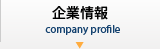 企業情報